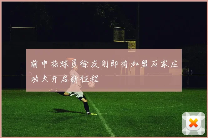 前申花球员徐友刚即将加盟石家庄功夫开启新征程