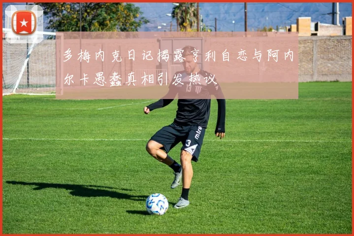多梅内克日记揭露亨利自恋与阿内尔卡愚蠢真相引发热议