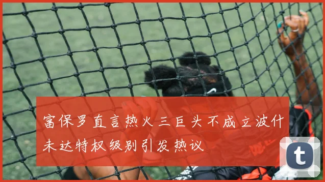 富保罗直言热火三巨头不成立波什未达特权级别引发热议
