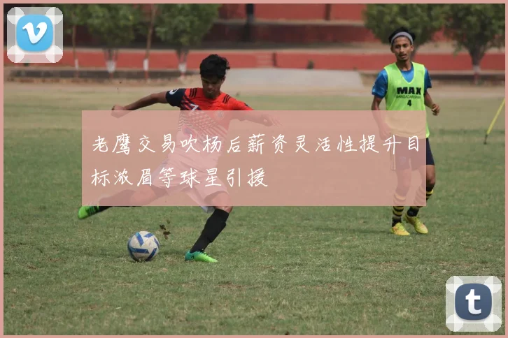 老鹰交易吹杨后薪资灵活性提升目标浓眉等球星引援